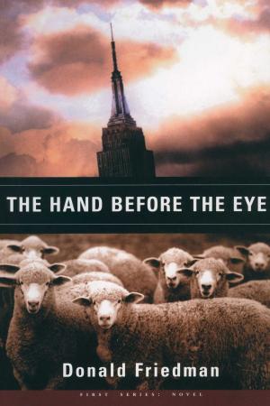 Cover of the book The Hand Before the Eye by Sara Kay Jordan