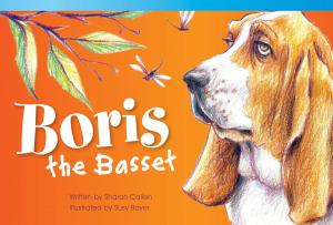 Cover of the book Boris the Basset by William B. Rice, Dona Herweck Rice