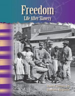 Cover of the book Freedom: Life After Slavery by Christine Dugan