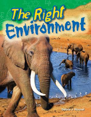 Cover of the book The Right Environment by Georgia Beth