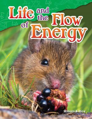Cover of the book Life and the Flow of Energy by Conni Medina