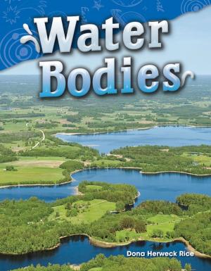Book cover of Water Bodies