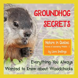Cover of Groundhog Secrets - Everything You Always wanted ti Know about Groundhogs