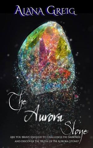 Cover of The Aurora Stone
