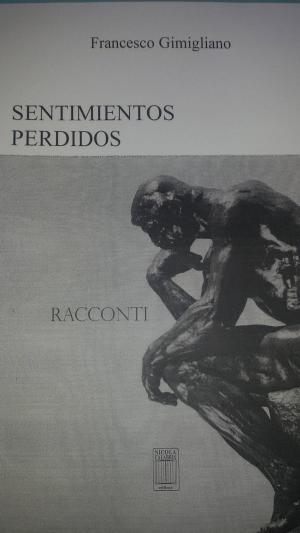 Cover of the book Sentimientos Perdidos by David Ogbueli