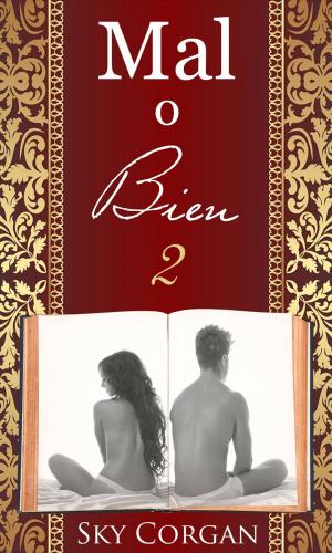 Cover of the book Mal o Bien 2 by Anca Ioviţă