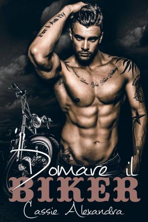Cover of the book Domare il Biker by Sam Allan