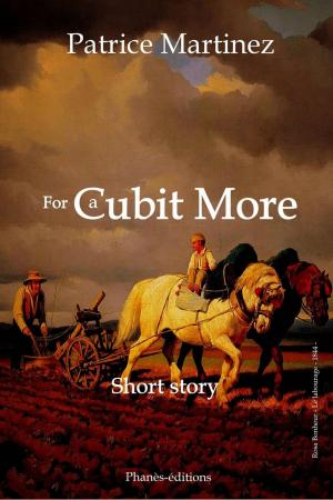Book cover of FOR A CUBIT MORE