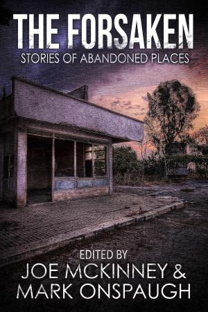 Book cover of The Forsaken: Stories of Abandoned Places