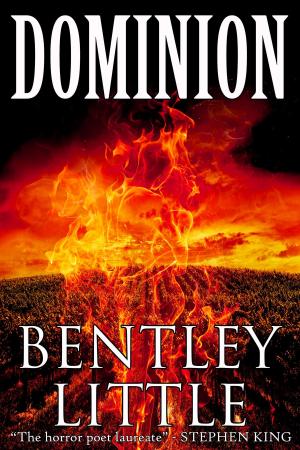 Cover of the book Dominion by Rick Hautala