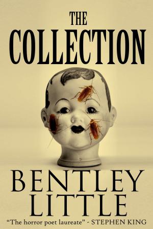 Cover of the book The Collection by Poppy Z. Brite