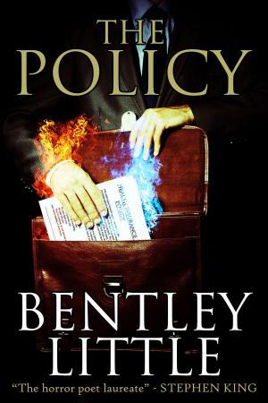 Cover of the book The Policy by Maynard Sims