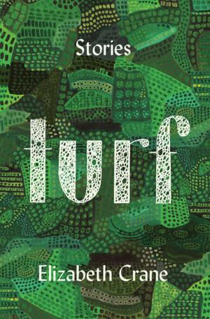 Cover of the book Turf by Nancy L. Cohen