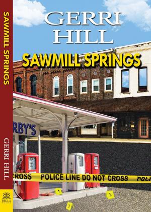 Cover of the book Sawmill Springs by David Ward Davis, Lisa E. Brown