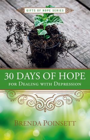 Cover of the book 30 Days of Hope for Dealing with Depression by Dillon Burroughs, Jimmy Turner
