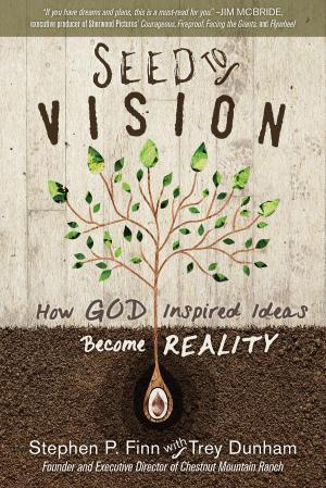 Book cover of Seed to Vision