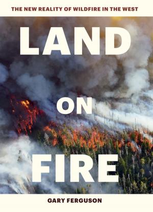 Book cover of Land on Fire