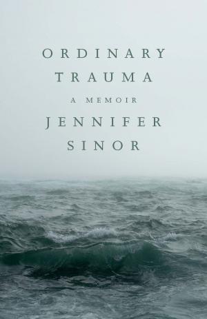 Cover of the book Ordinary Trauma by John Veranth