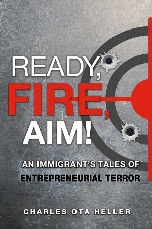 Cover of the book Ready, Fire, Aim by Sonia Kefer