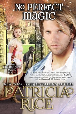 Cover of the book No Perfect Magic by Patricia Thayer