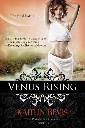 Cover of the book Venus Rising by Donnell Ann Bell