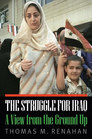 Cover of the book The Struggle for Iraq by Shyamala Nemana