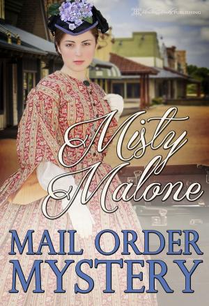 Cover of the book Mail Order Mystery by Brandy Golden
