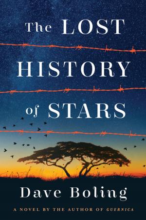 Book cover of The Lost History of Stars