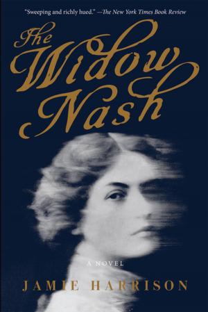 Book cover of The Widow Nash