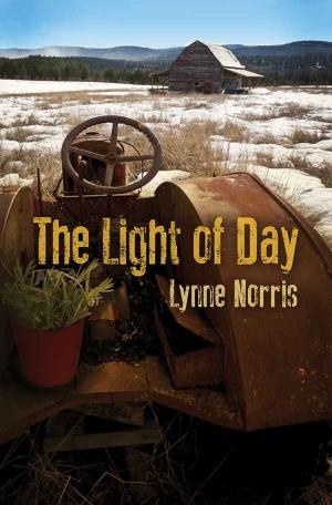 Cover of the book The Light of Day by Jeanine Hoffman