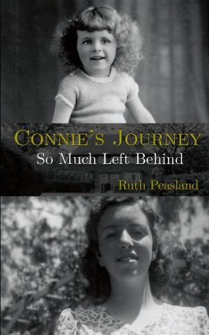 Cover of the book Connie's Journey by David Whitcomb