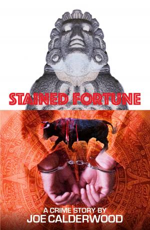 Cover of the book Stained Fortune by Marci Blackman