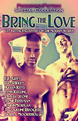 bigCover of the book Bring the Love by 