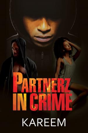 bigCover of the book Partnerz in Crime by 