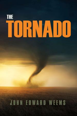 Cover of the book The Tornado by Diana Finlay Hendricks