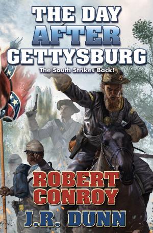 Cover of The Day After Gettysburg