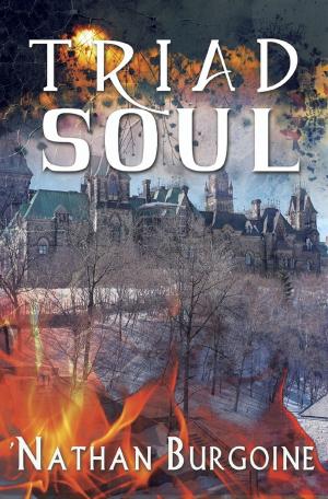 Cover of the book Triad Soul by PJ Trebelhorn