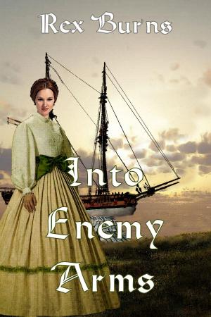 Cover of the book Into Enemy Arms by Marie Dry