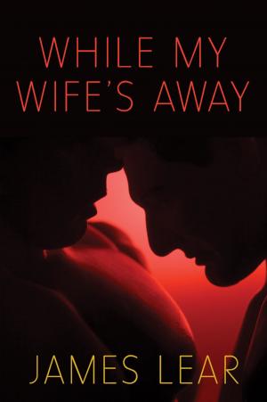 Cover of the book While My Wife's Away by Steph Auteri