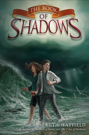 Cover of the book The Book of Shadows by Sebastian Robertson