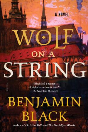 Cover of the book Wolf on a String by David Nokes
