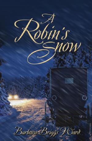Cover of the book A Robin's Snow by Ken Huebsch