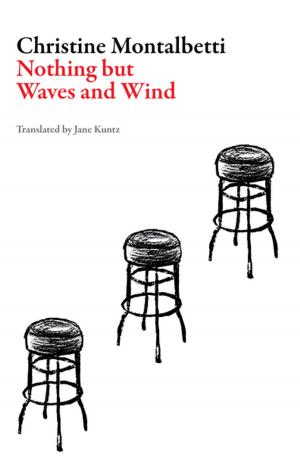 Cover of the book Nothing but Waves and Wind by Svetlana Alexievich