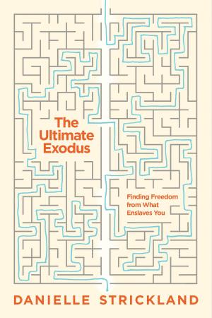 Cover of the book The Ultimate Exodus by Jerusha Clark
