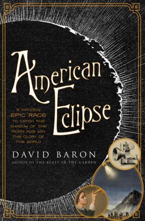 bigCover of the book American Eclipse: A Nation's Epic Race to Catch the Shadow of the Moon and Win the Glory of the World by 