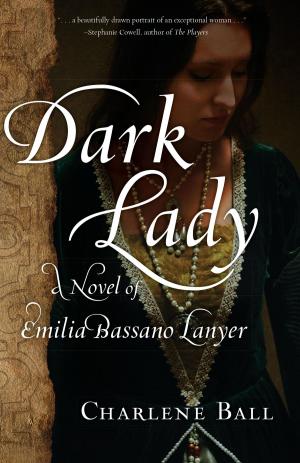 Cover of the book Dark Lady by Antoinette Truglio Martin