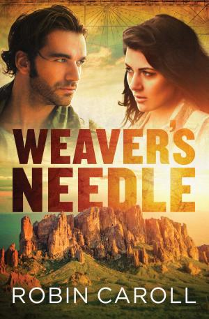 Cover of the book Weaver's Needle by Donna K. Maltese