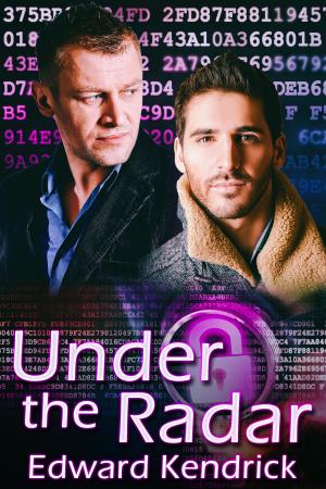 Cover of the book Under the Radar by J.M. Snyder