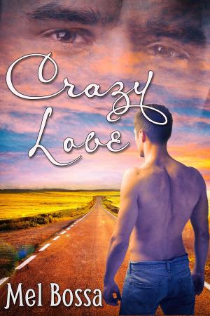 Cover of the book Crazy Love by Gareth Vaughn