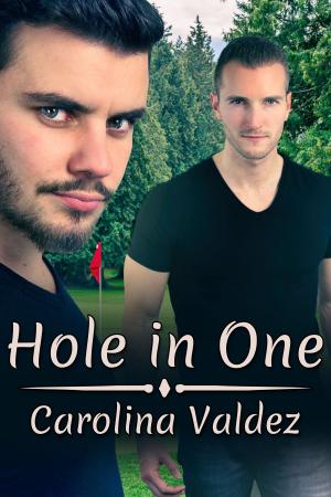 bigCover of the book Hole in One by 